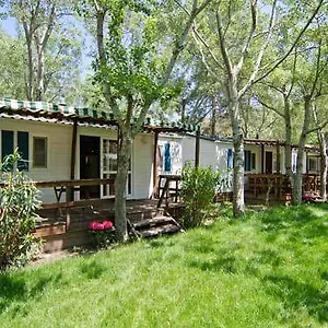 Ξενοδοχείο Thalatta Kalamitsi Village Camp, Χαλκιδική